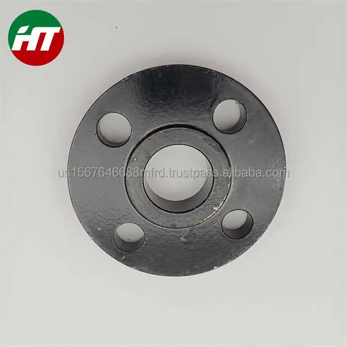WN so Supplier A105 A350 A694 Blind Flange Forged A105 Ansi B16.5 A694 F42 Asme A105n