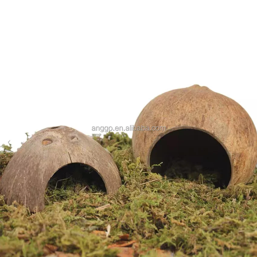 Parrot Bird Hamster Landscape Decor Lizard Spider Gecko Crawling Pet Shelter Hermit Crab Pet Supplies Coconut Shells Pet Nest