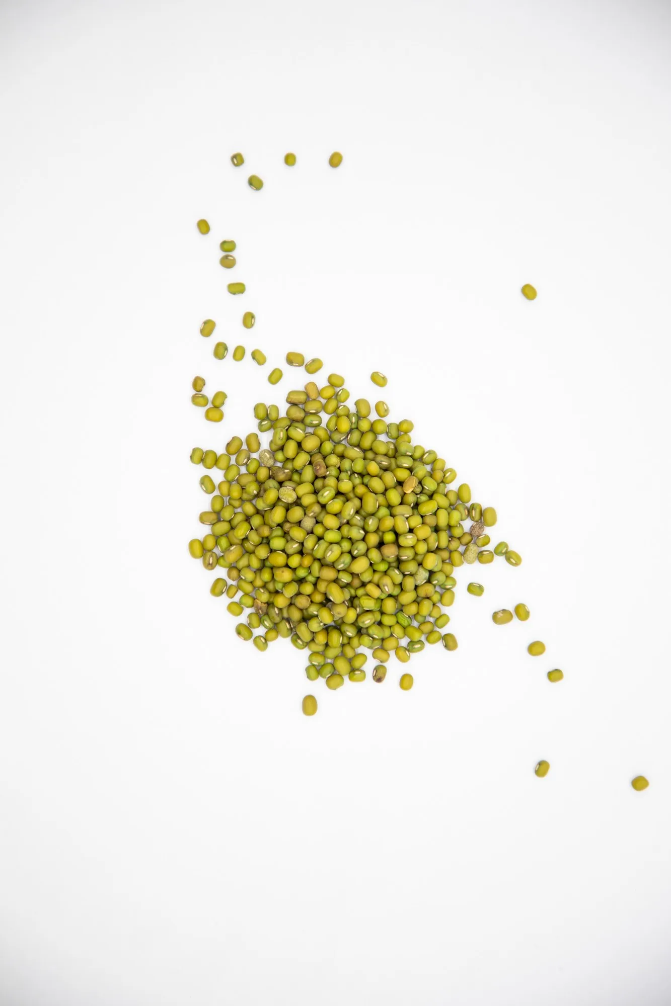 Organic green mung beans 100% natural high grade vigna beans for sprouting from Uzbekistan manufacturer