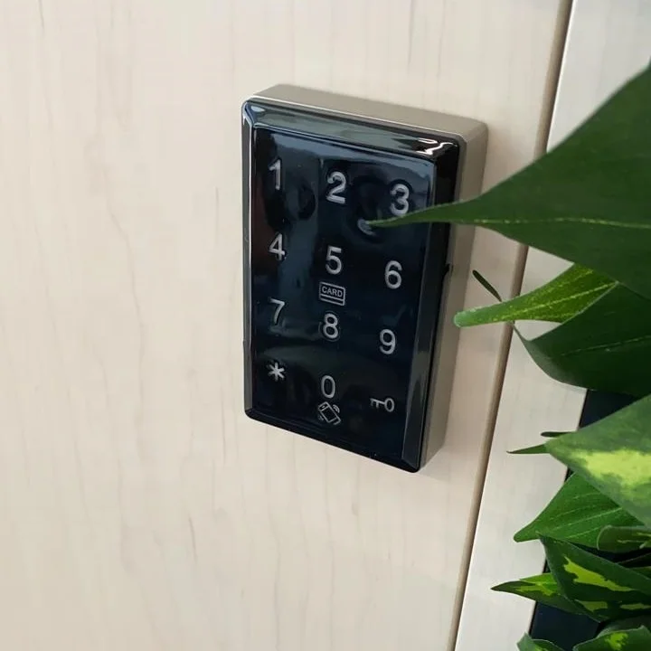 Udohow Public and Private Mode Touch RFID Cabinet Lock for Gym Locker Cabinet Lock