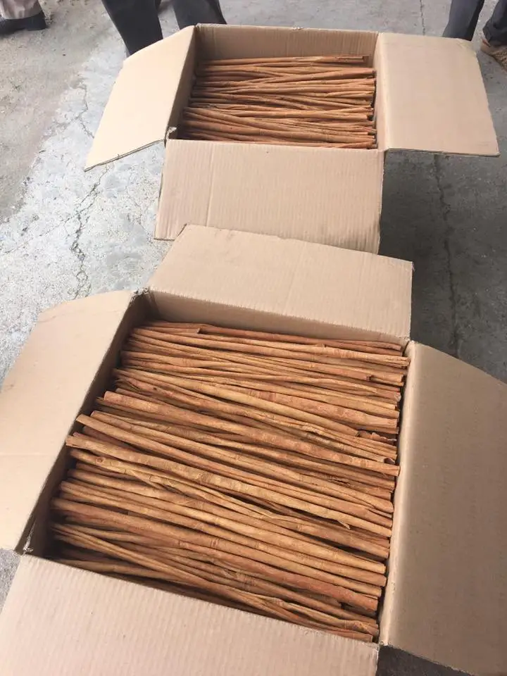 SUPPLIERS OF long CASSIA STICK ROLL 60-70% BEST PRICE IN VIETNAM NEW CROP