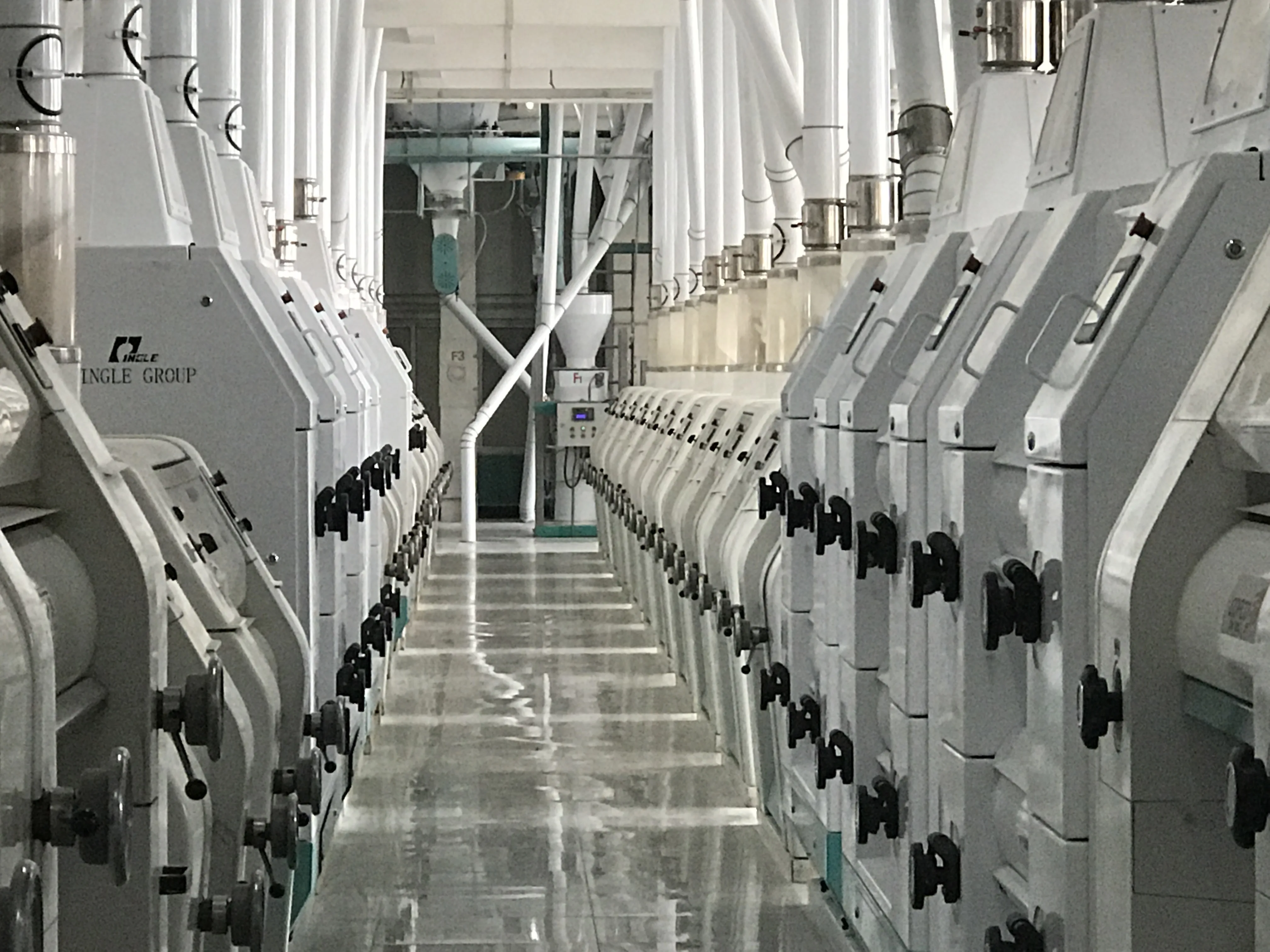 flour and semolina mill plant