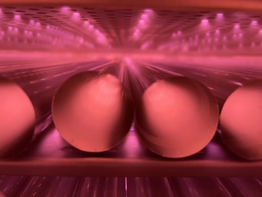 Tabletop Plasma Cleaning Machine for University Experiments for Semiconductor Surface Modification With Vacuum Pump