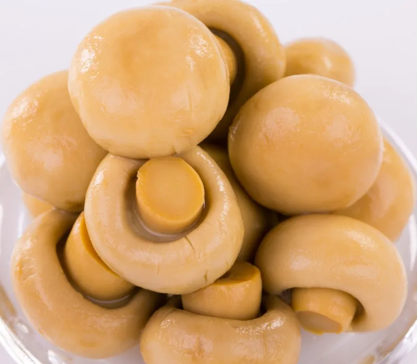 
2840g Hot sale canned mushroom whole in China with factory price 