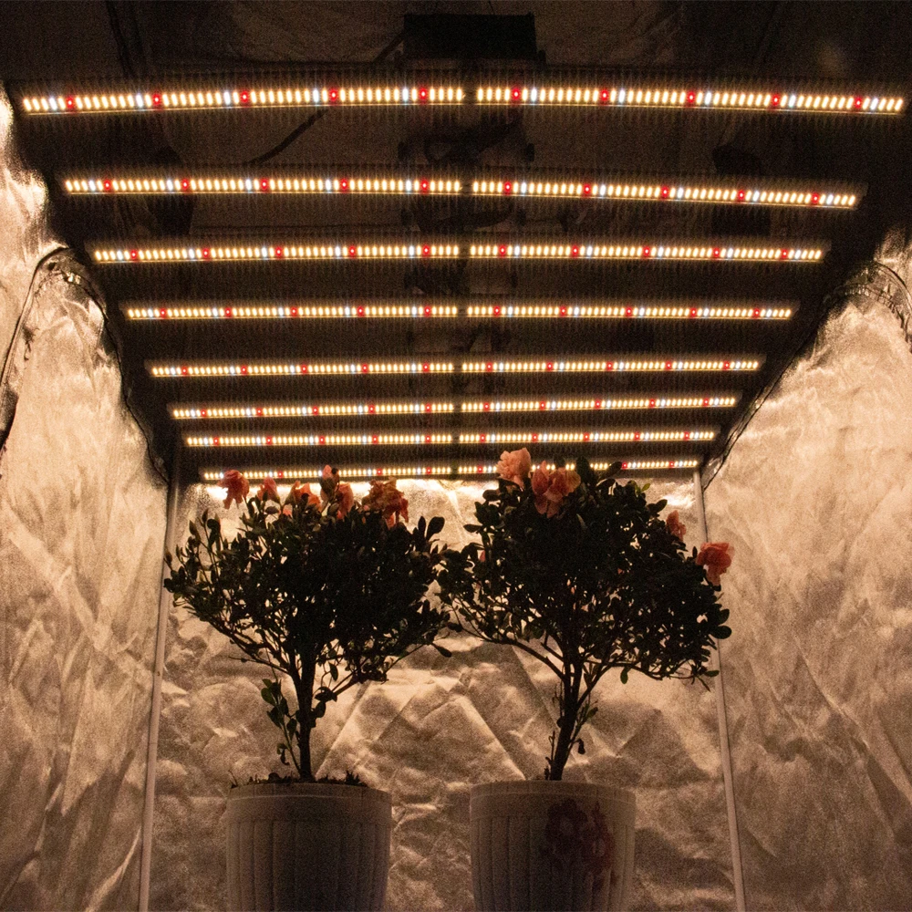 
Cretivity 301h LED Board Best Selling 640W Hydroponic Indoor 3000k LED Grow Light For Garden Tent 