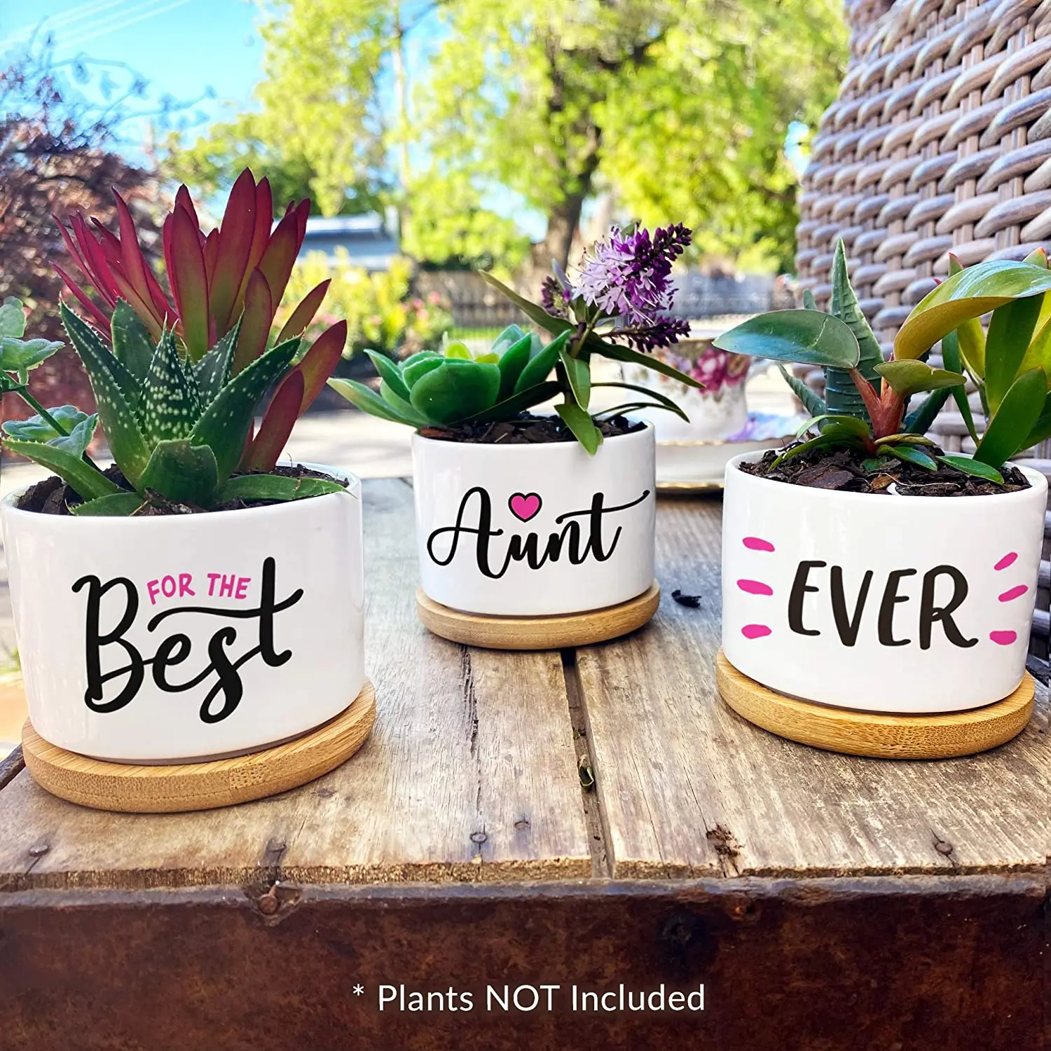 Custom Super Sweet Aunt Gift Our Pretty Best Aunt Ever Succulent Pots For Birthday or Christmas