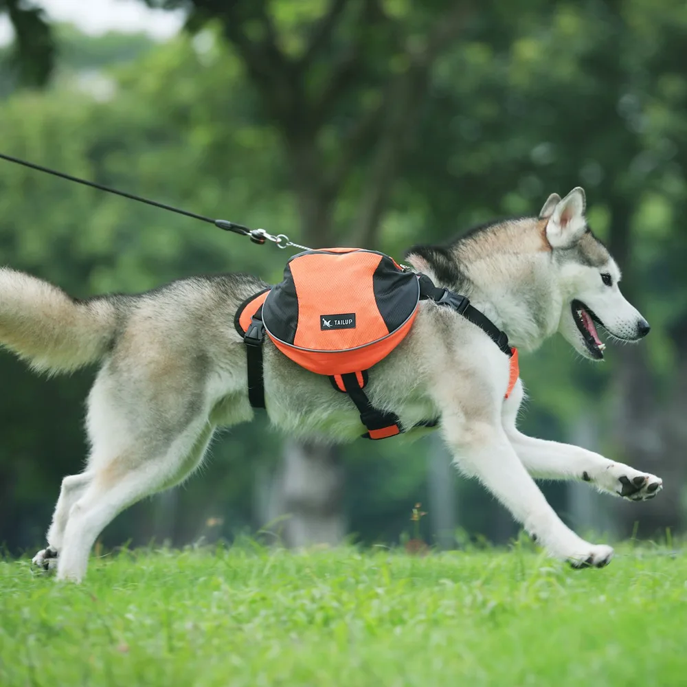TAILUP, уличная сумка для пеших прогулок, кемпинга, путешествий, тренировок, собак, домашних животных
