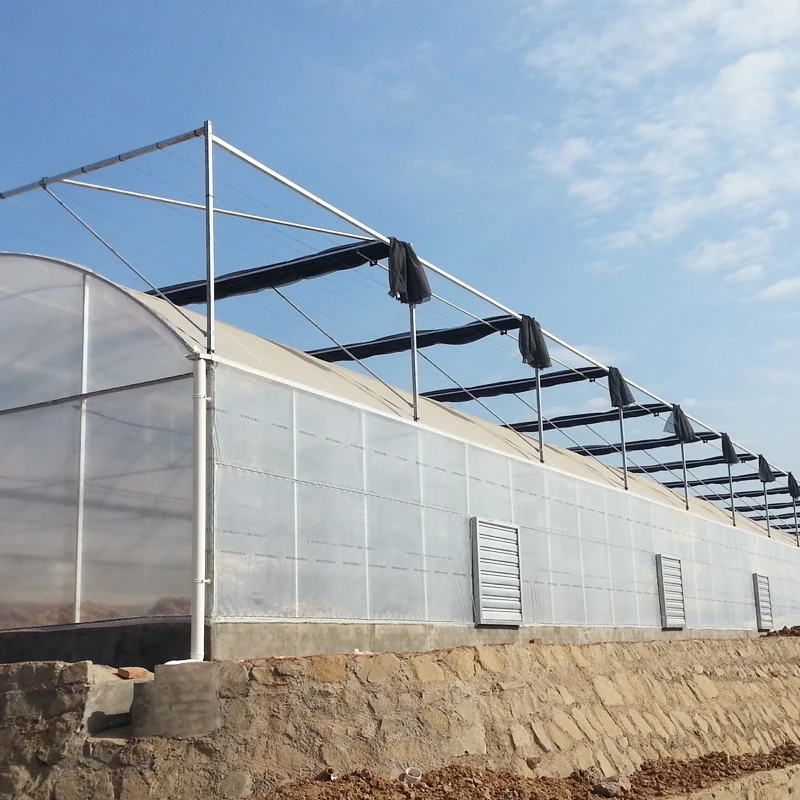 Serre agricole Plastic film greenhouse  system multi-span agricultural greenhouses for sale