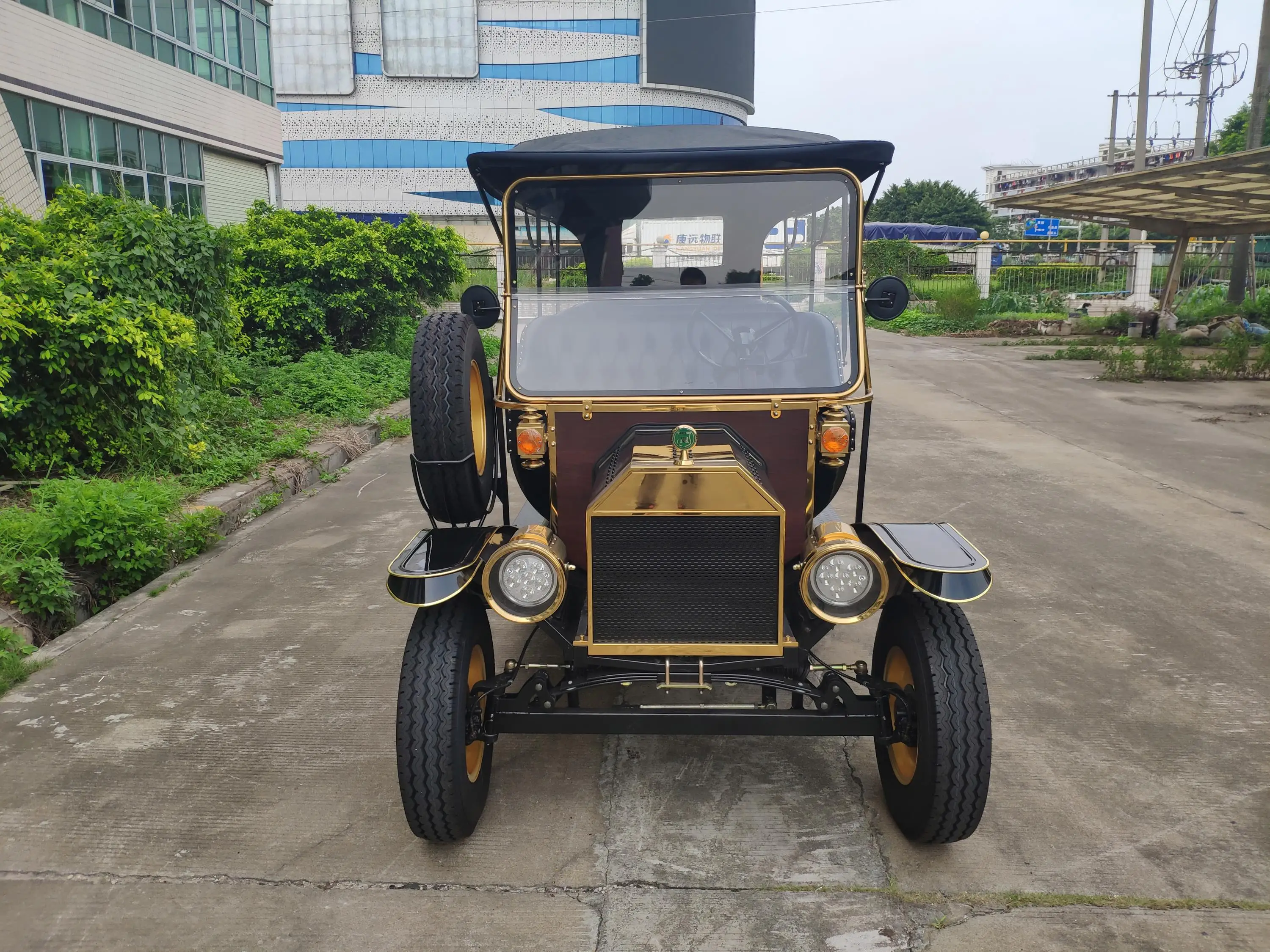RARIRO Vintage Electric Golf Cart from Chinese Factory Economical Powered Sightseeing Bus & Car
