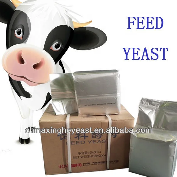 Optimize Feed Conversion in Cattle Feed Yeast: For Efficient Beef Production Choose Our Feed Yeast