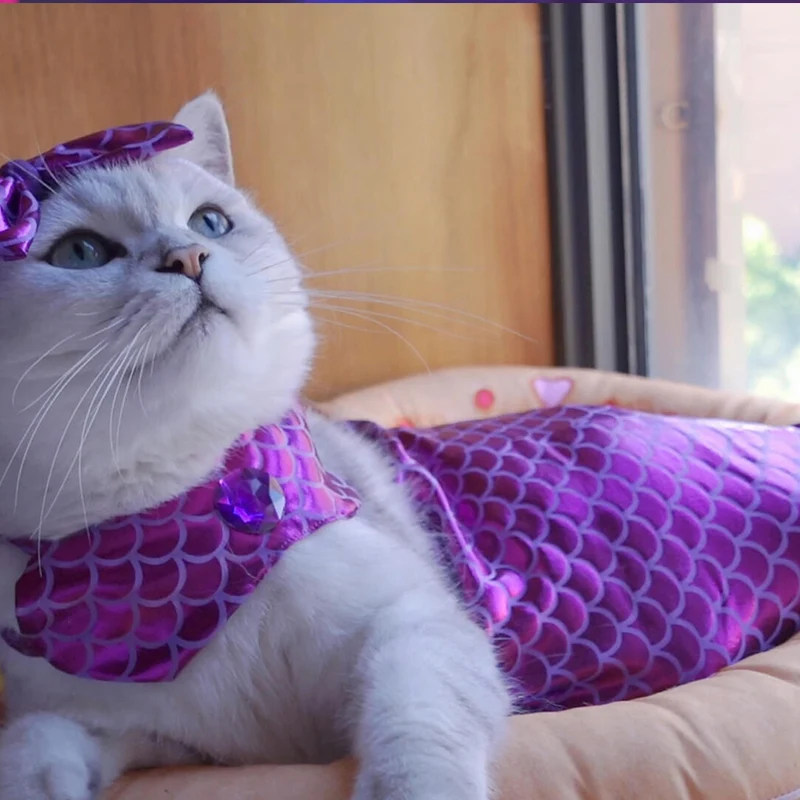 Wholesale Ztale Pet Dog Cat Halloween Costumes, for Party Christmas Special Events Costume,,Funny Cloth, Halloween Cosplay