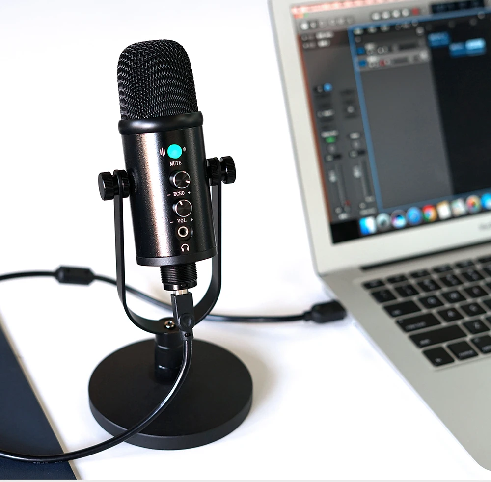 Professional studio home condenser recording microphone YR13