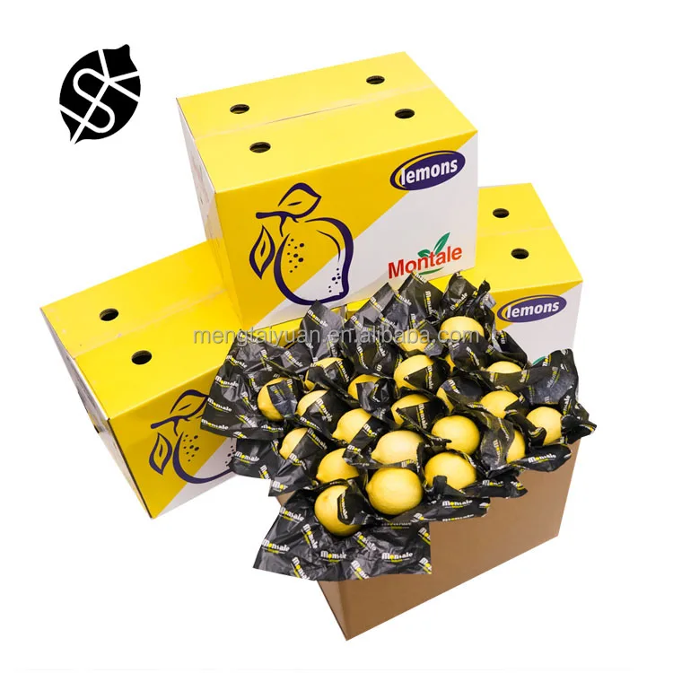 ODM экспорт фруктов оранжевый желтый лимон оптовая цена цитрусовый лимон