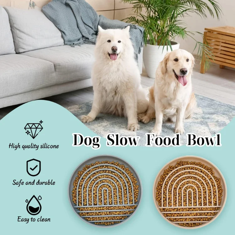 Dog Bowl 02 - 13