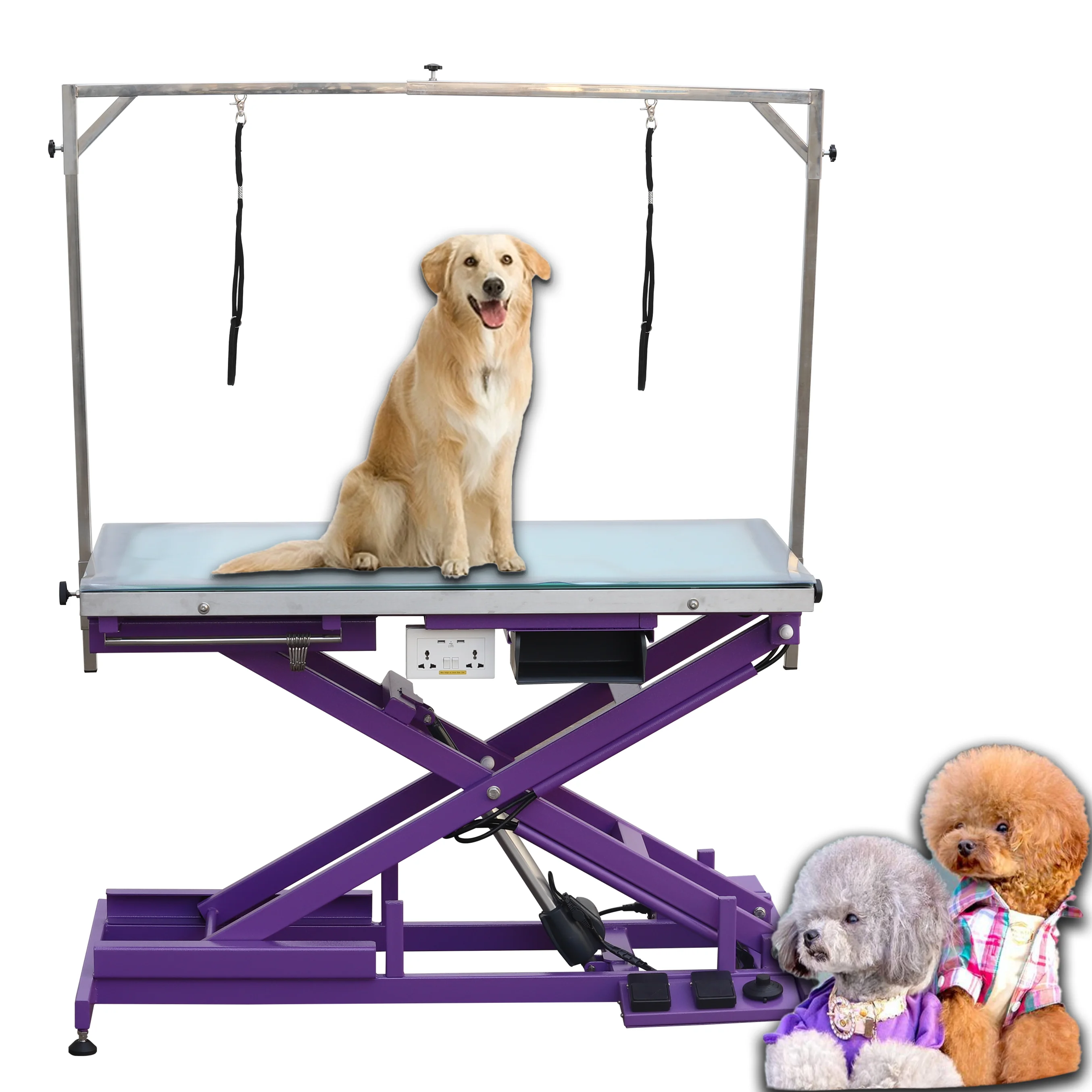 Aeolus High quality LED Lighting Electric lift pet dog beauty grooming table Illumination grooming table