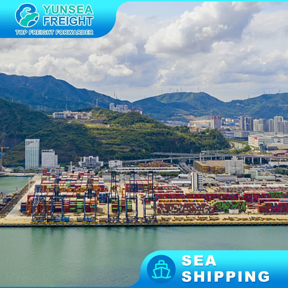 Cheapest Rates Logistics Agent Fba DDP Sea Freight Forwarder From China