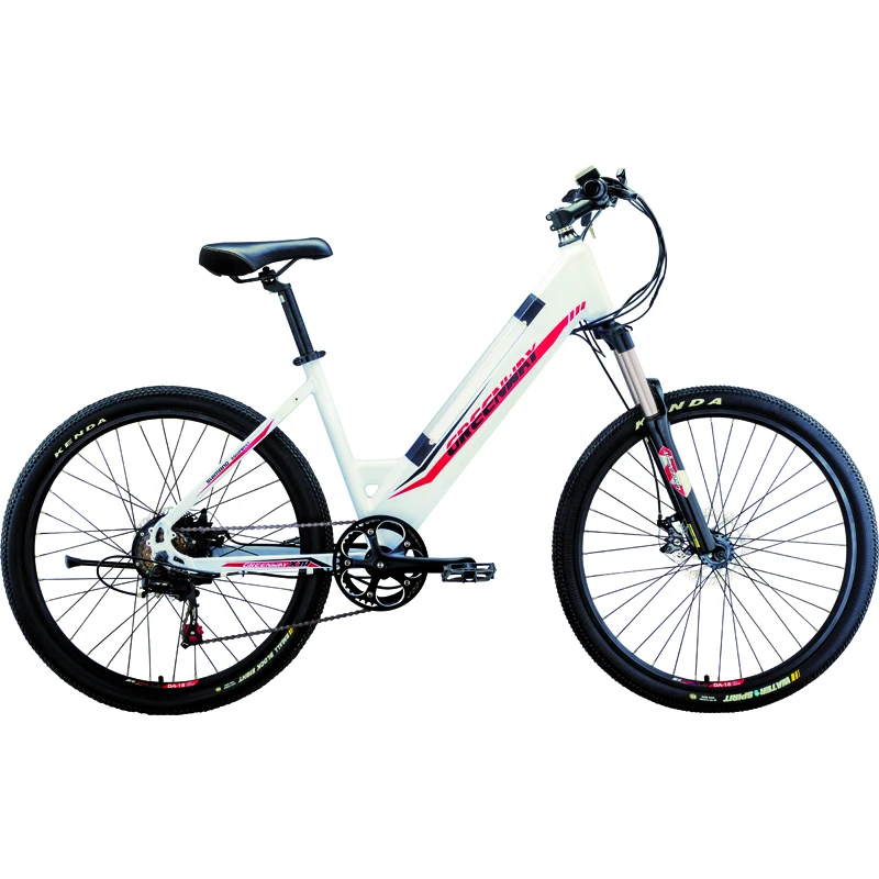 
Super Full Suspension Electric Mountain Bike 