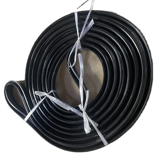 Good Price O-Ring Kit Autoclave Rubber Air Proof Seal Rings Autoclave door Gasket