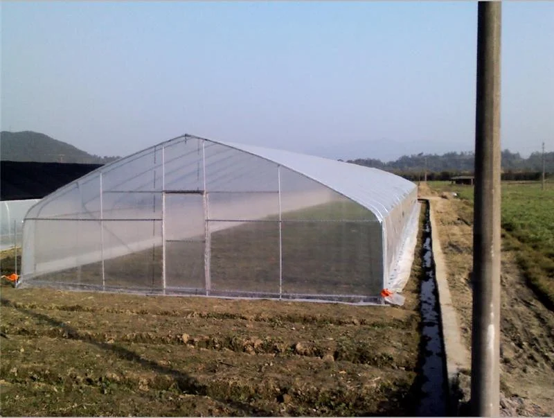 200 micron plastic greenhouse covering film tunnel greenhouse single  span greenhouse