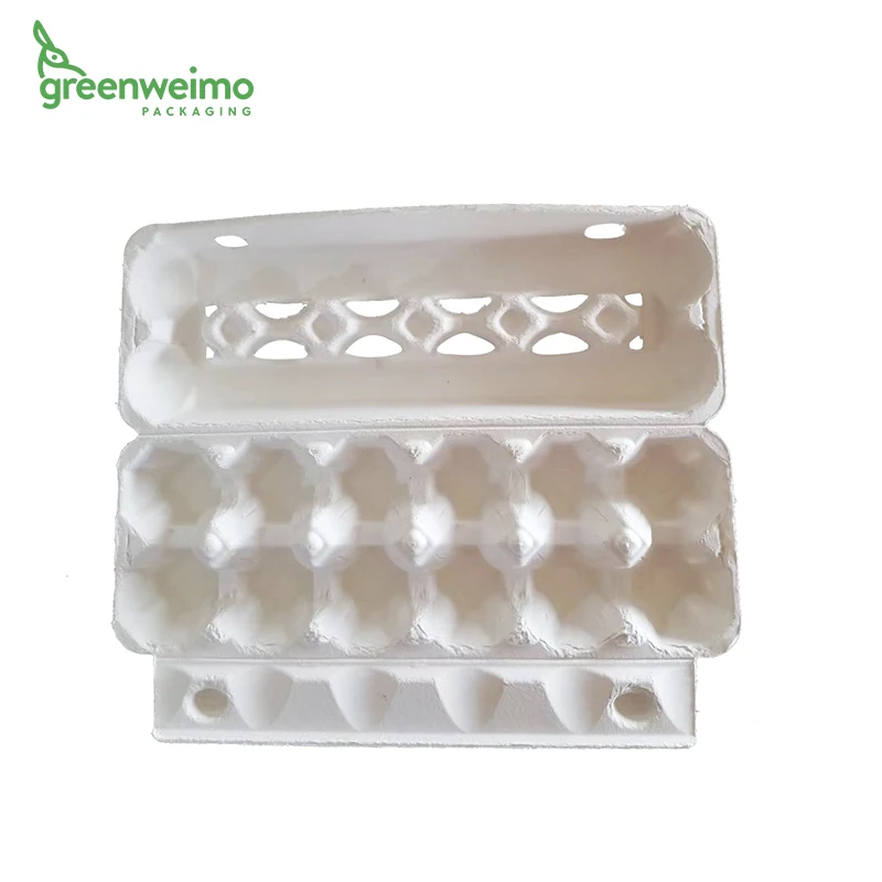 Eco Egg cartons for chicken eggs with 12 visual egg-shaped holes