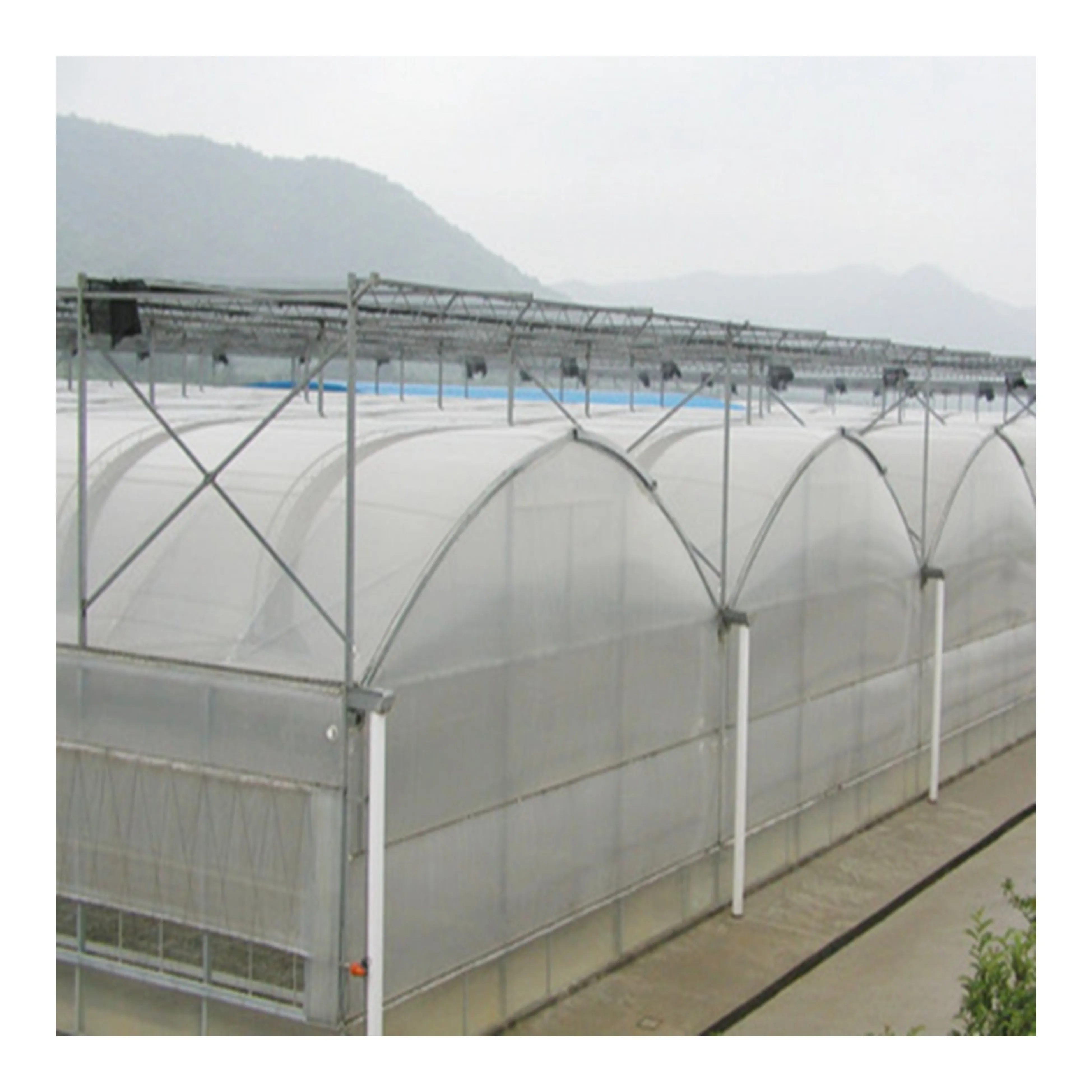 Rapid customization and rapid delivery of agricultural cultivation and cultivation of plastic melon greenhouse