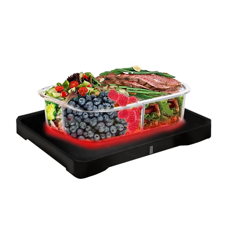 Hot Sale Home Truck Car Electric Lunch Box Food Warmer Heater 80W Mini Personal Portable Oven For Reheating Warming with Bag