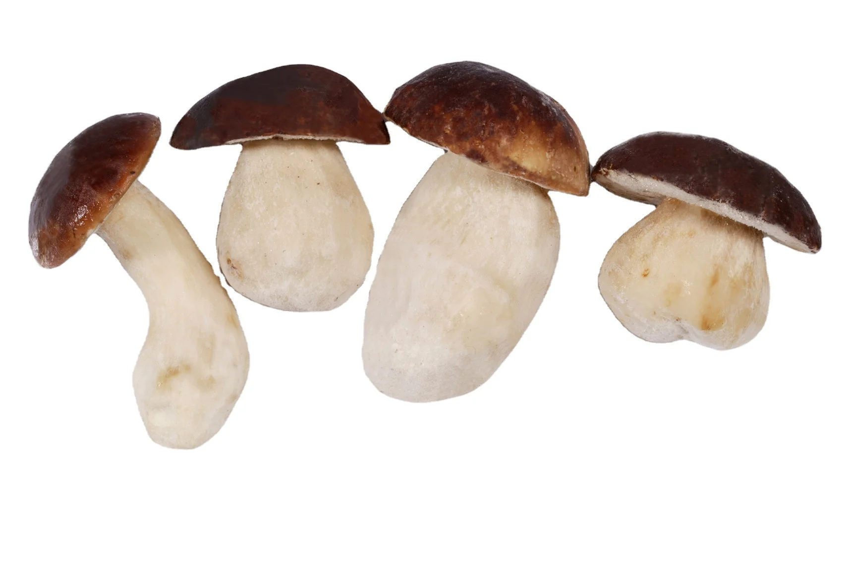 For Trade WILD Porcini (botetus Edulis and Relative Groupe) Brc Ifs Sedex Top Sold Italian Frozen Whole Mushrooms Porcini 1kg