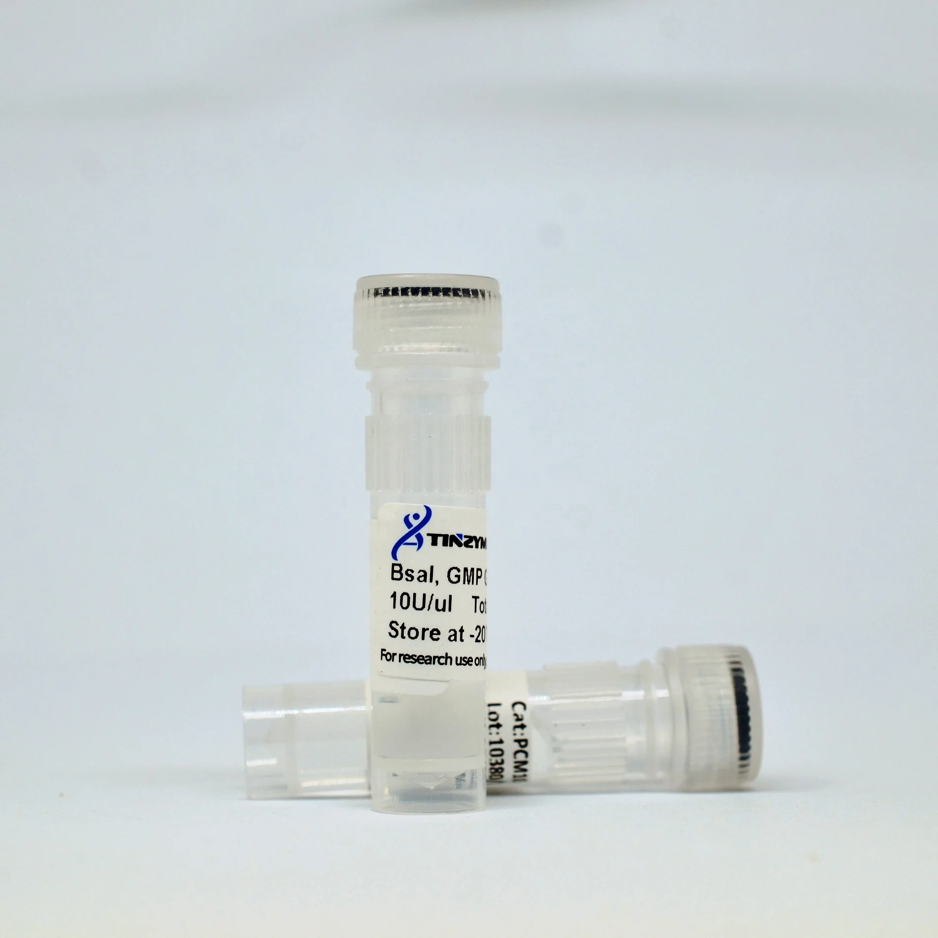 Tinzyme BsaI GMP Grade Restriction Endonucleases Derived from Bacillus Thermophilus High Quality Chemical Reagents