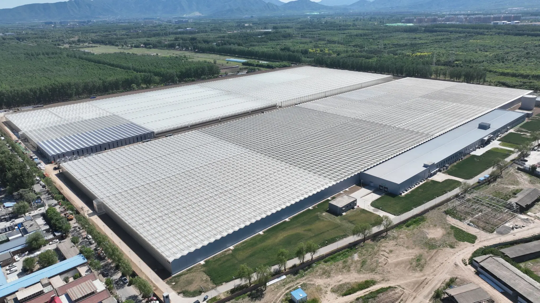 Промышленная сельскохозяйственная теплица Venlo 10 8 м 1084 низкая цена