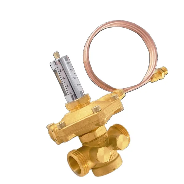 Automatic Brass Differential Pressure Control Valve