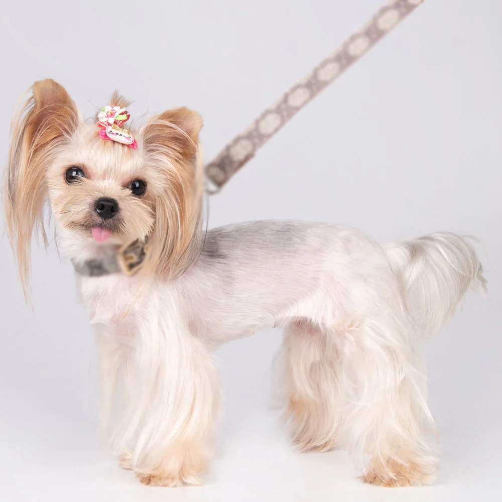 Customized new fashion pet PU collar leash set cats and dogs to prevent lost out leather collar