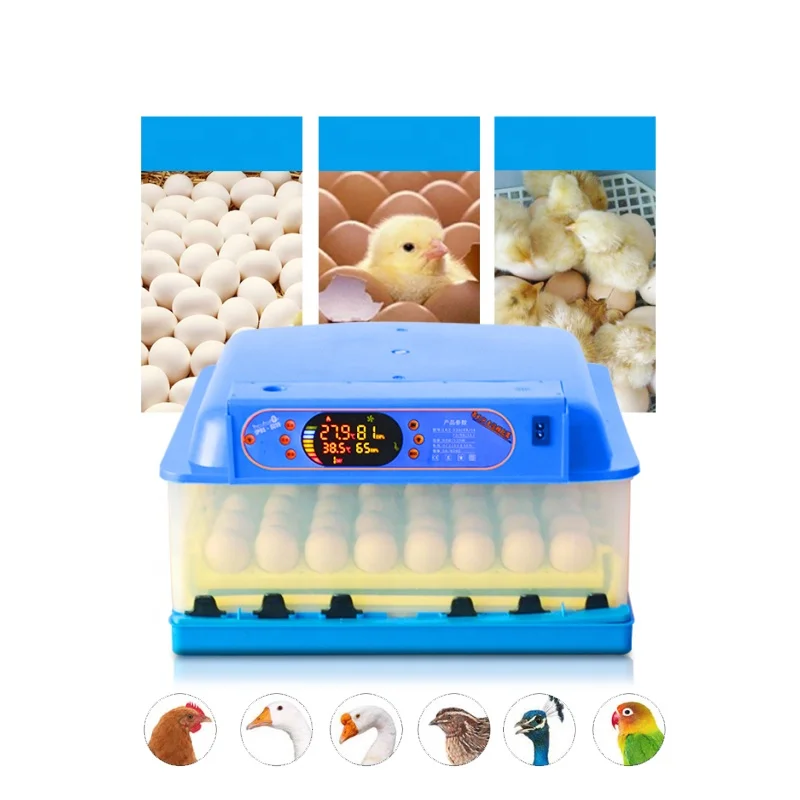 Cheap Price Chicken Duck Goose Quail 60 Egg Incubator Chicken Egg Incubators for Sale