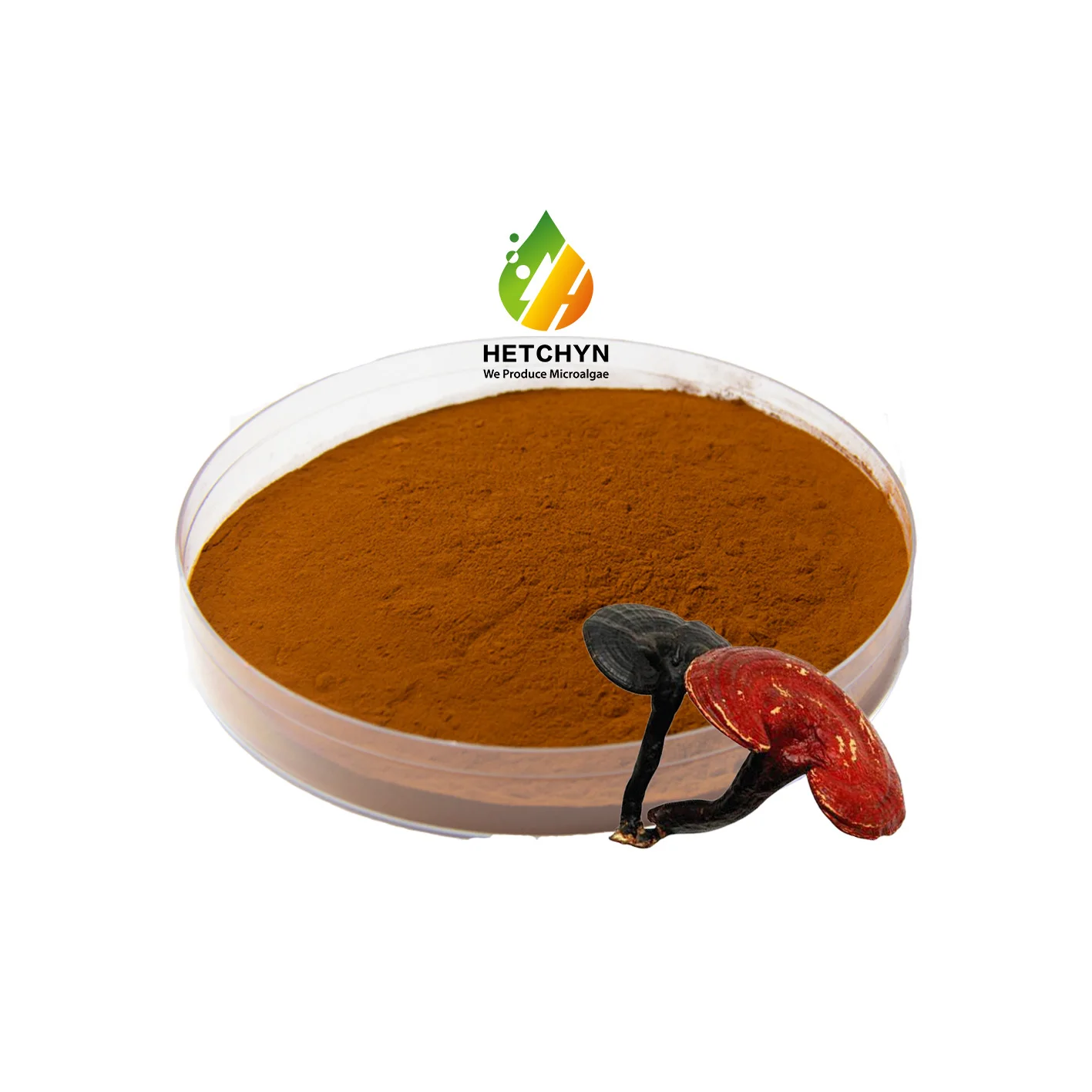 Оптовая продажа экстракт 10:1 Reishi Ganoderma Lucidum порошок 100% чистый грибной фруктовый добавка липкий сложный барабан