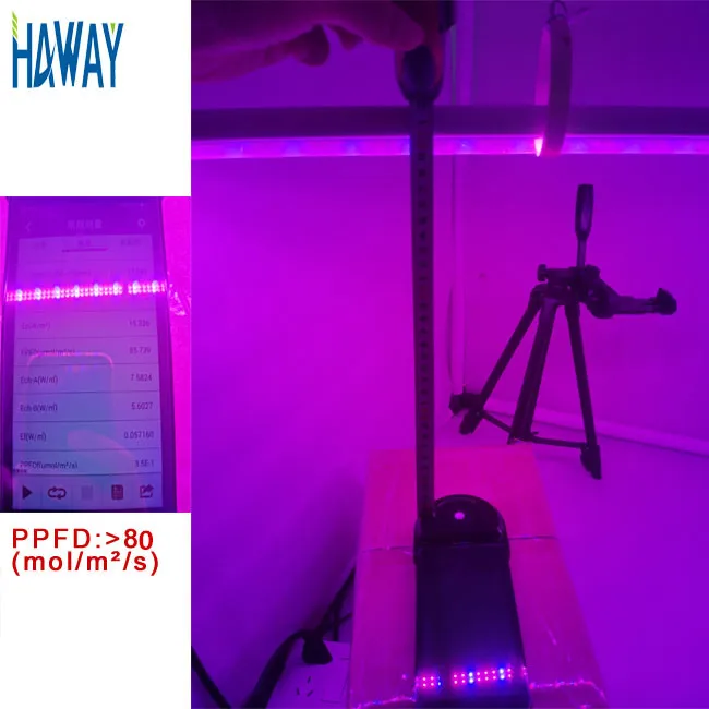 IP65 36W Horticulture Hydroponics Garden Supply Led Lighting t8grow lamps Veg Bloom T10 Led Grow Light