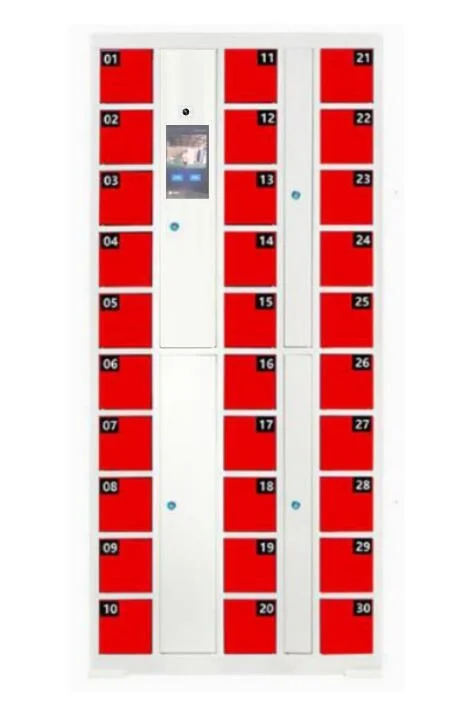 Stand-alone Smart 4 Inch Screen Electronic Card Swipe Parcel Storage Locker For Supermarket Locker