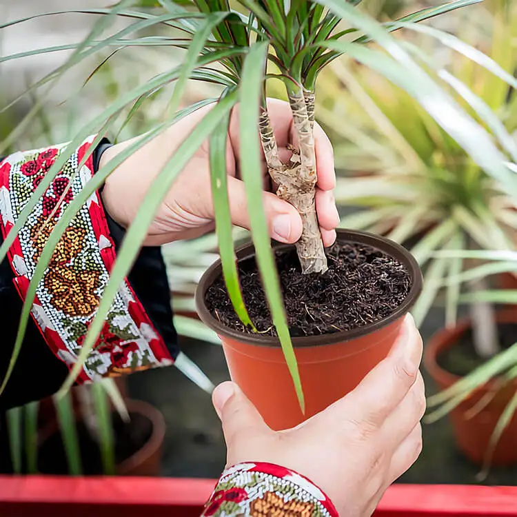 nursery flower pots-9