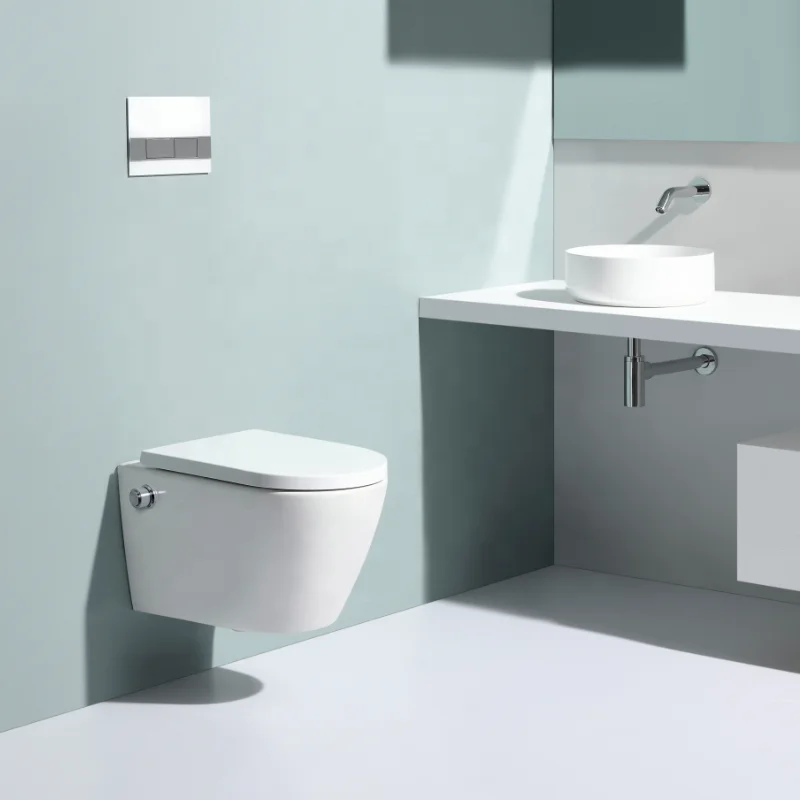 Home Lavatory Bathroom Ceramic Rimless wall hung toilet with bidet