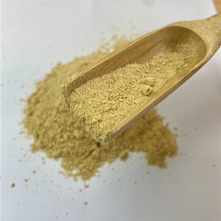 
Premium Chinese Herb Radix Angelica Dahurica Extract Powder 