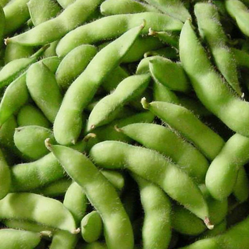 Hot product supply BRC approved IQF frozen organic edamame / frozen soy bean kernels