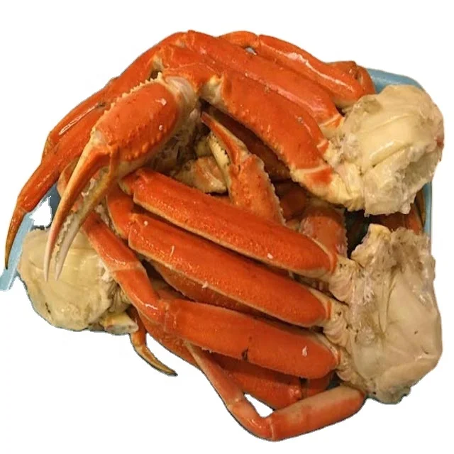 
Quality Live Red King Crabs Frozen Red King Crab Legs For Human Consumption 