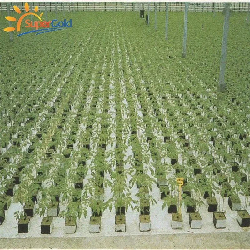 SuperGold agricultural rock wool hydrophobic rock wool products rock wool cube for seed cultivation