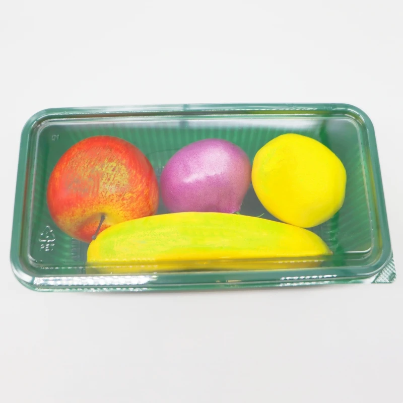 clear plastic clamshell food catering lunch containers Square Transparent Packaging Box