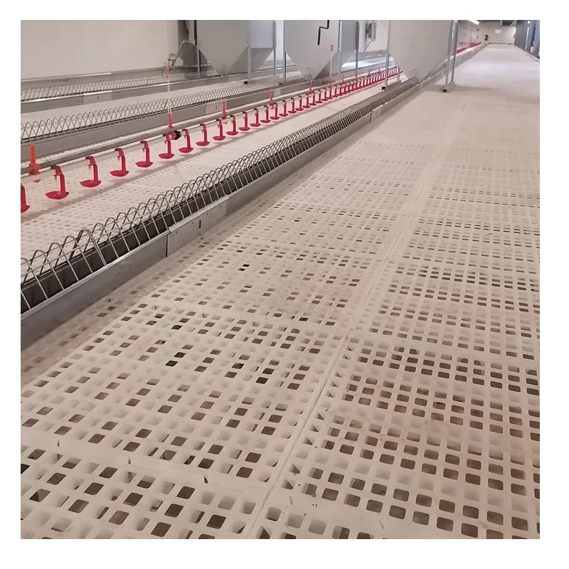 Poultry Slat Floor Plastic Flooring Chicken Coop Slotted Floors Broiler Farm House Mesh Mat system