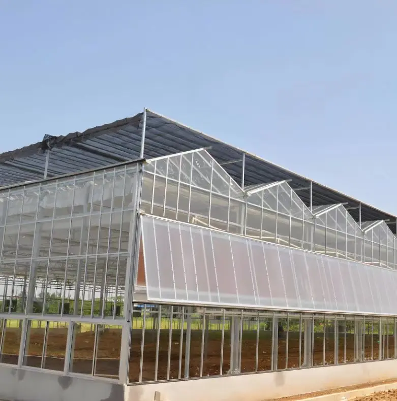 China Customized Intelligent Glass Multi Span Greenhouse for Lettuce Hydroponic Cultivation Film Steel Material Agriculture Use