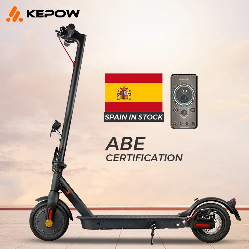 Скутер citycoco E9ABE 2024 склада, 350 Вт, 8,5 Дюймов