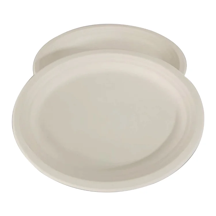 
100 solid sugarcane cardboard plate 10inch food container sugarcane bagasse square plate 