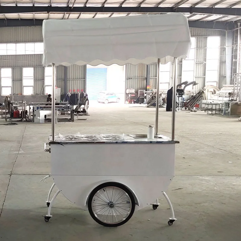 Gelato Ice Cream Truck Electric Bike Fashionable Hand Carts for Selling Fruit Juice on The Street Food Machine Restaurant 6 Pots