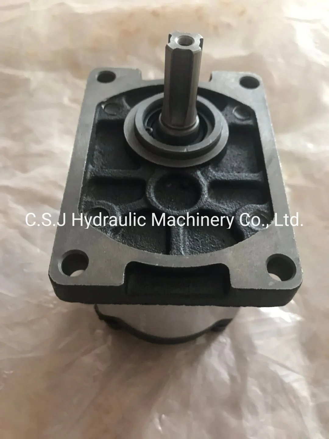 CBN-E316 Gear Pump High Pressure Gear Pump for Machine