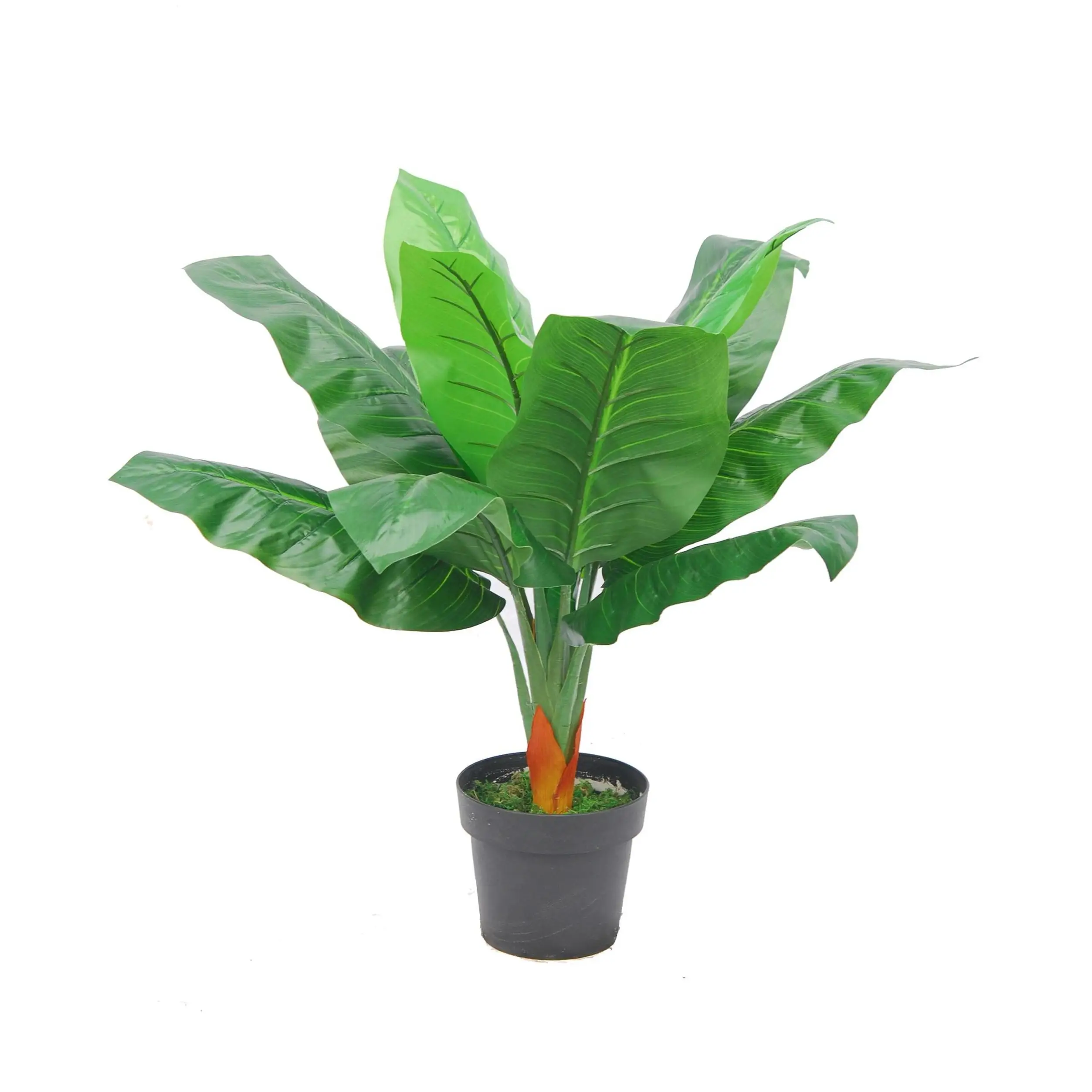 Other Decorative Plants plante artificielle office Big Giant Succulent With Pot Tropical Mini Naeucalyptus Ndina Tree Artificial