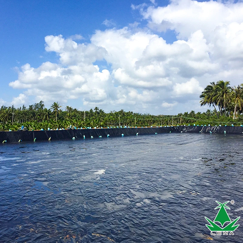 Hot Selling Polyethylene Pond Liner HDPE Geomembrane Aquaculture Equipment for Fish Bond Fish Farm Tank